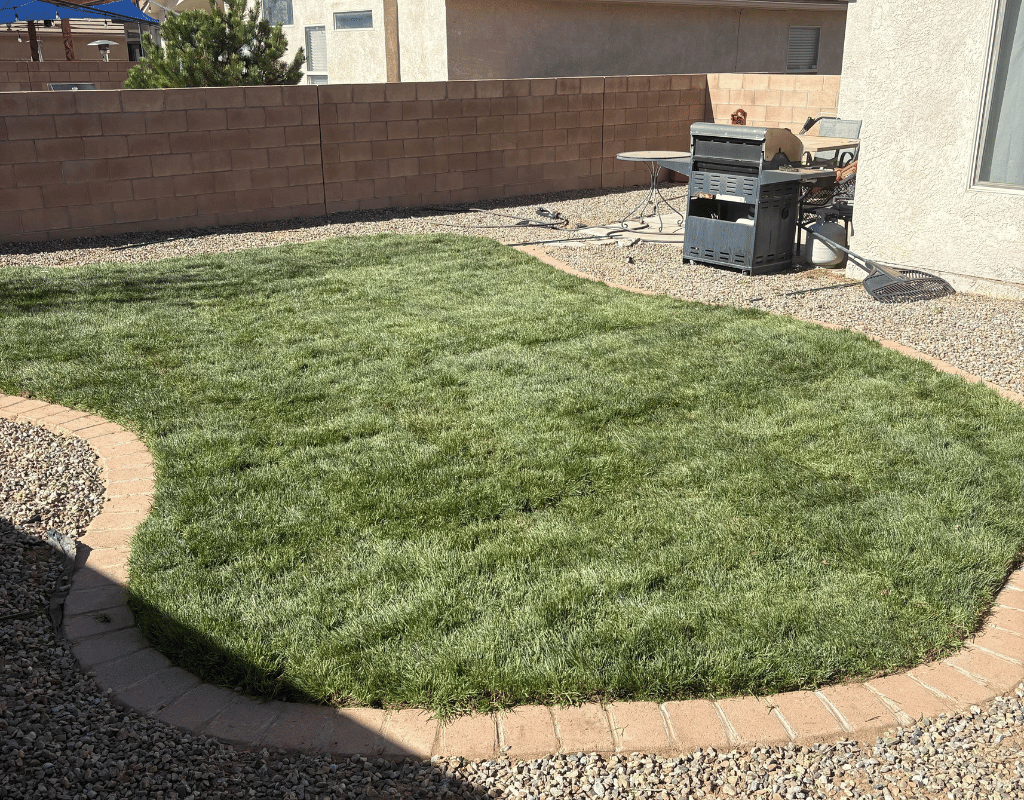 Backyard with a healthy new green sodded lawn, gravel border, and block wall after installation