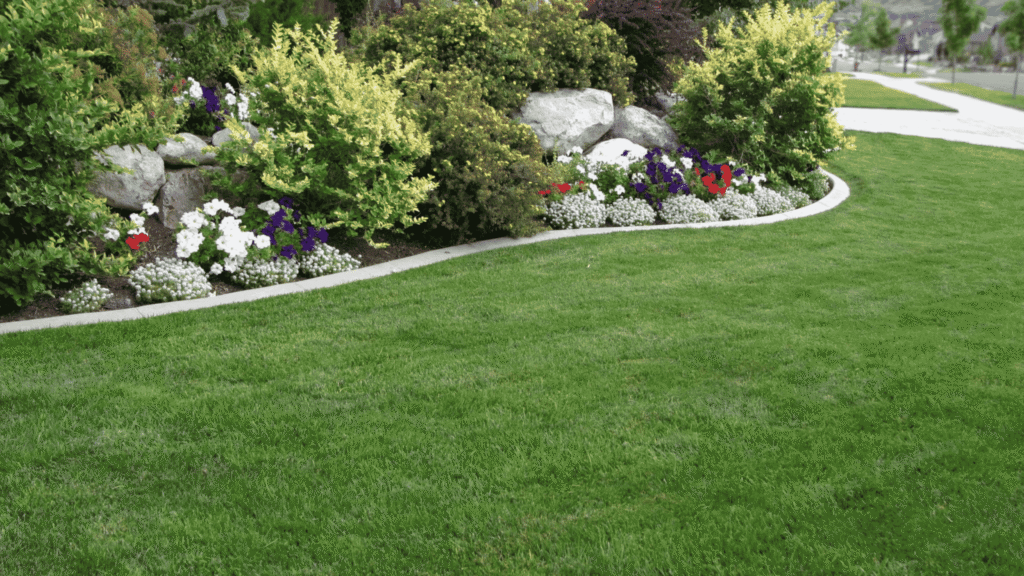 Landscaping in North Carlsbad - NM underway as a crew trims lawn edges beside a residential walkway