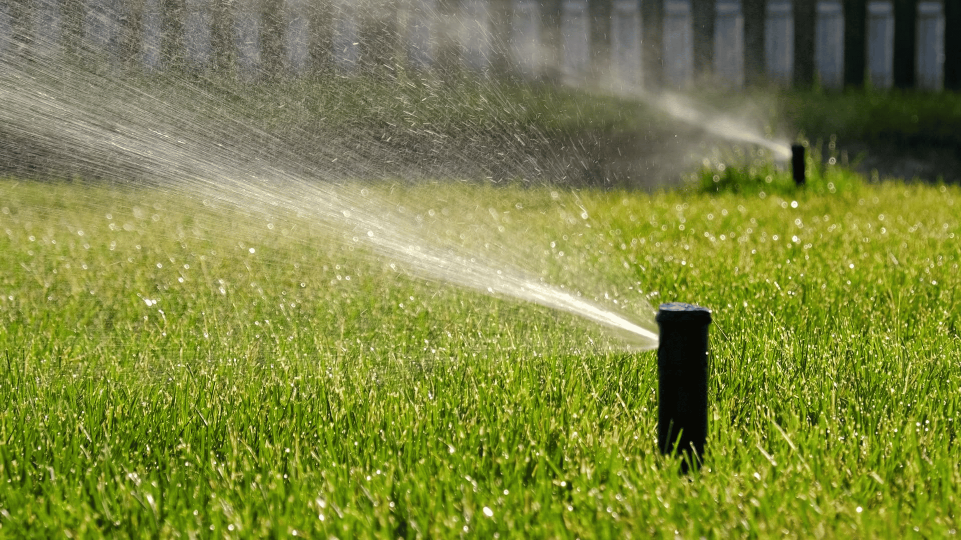 Sprinkler heads spraying water across a green lawn in evening sunlight