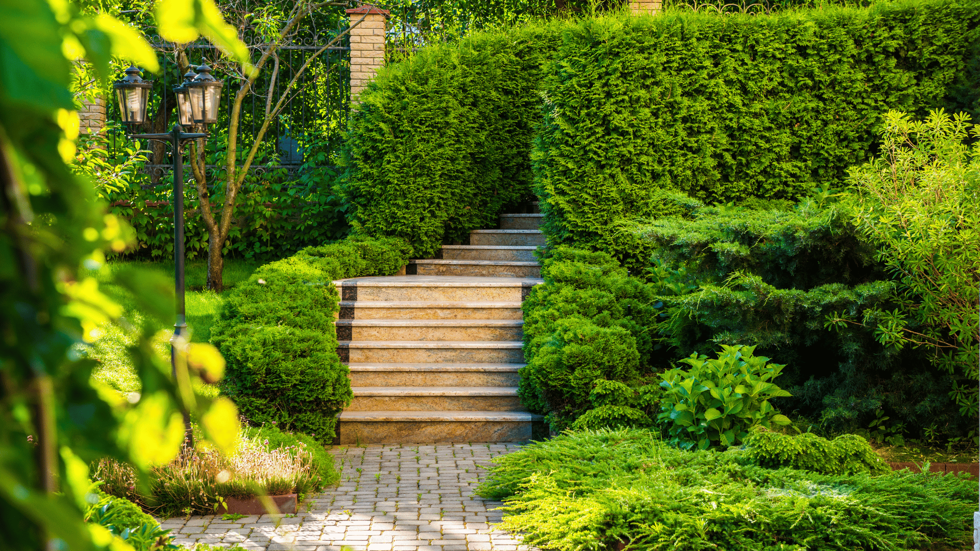 Stone steps and paver path leading through trimmed hedges with a lamp post