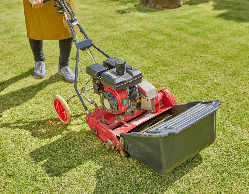 Person pushing a reel-style push mower across a bright green manicured lawn