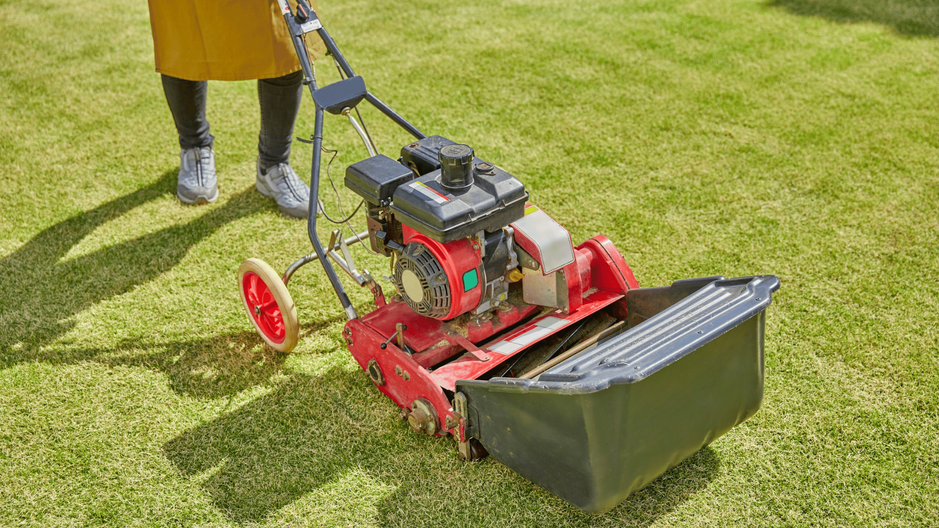 Person pushing an old-style reel mower across a manicured green lawn