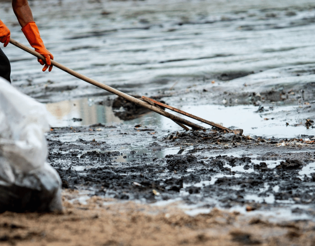 Gloved hands raking debris and mud from a wet shoreline area