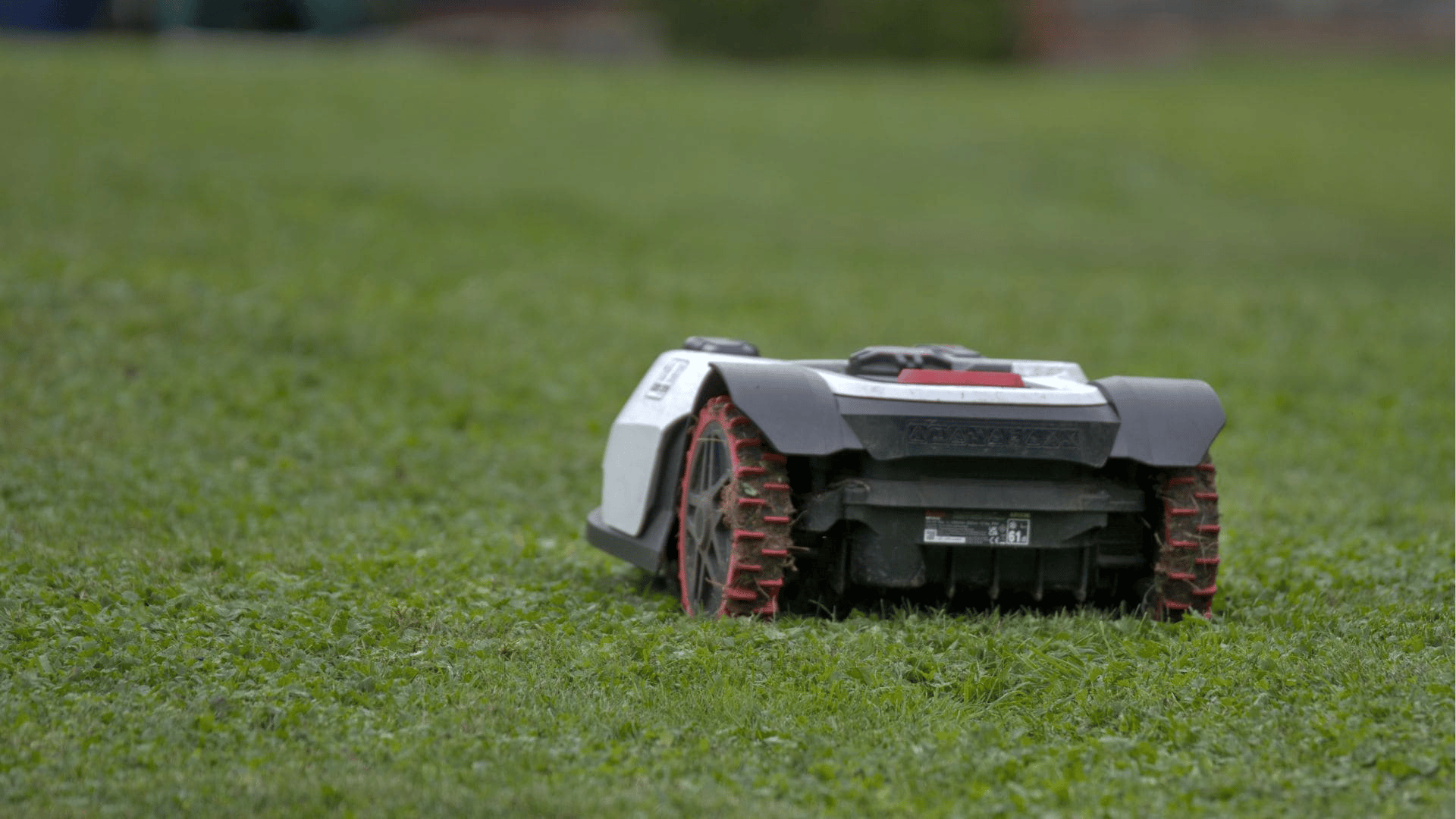 Black and orange robotic lawn mower cutting grass in a residential yard