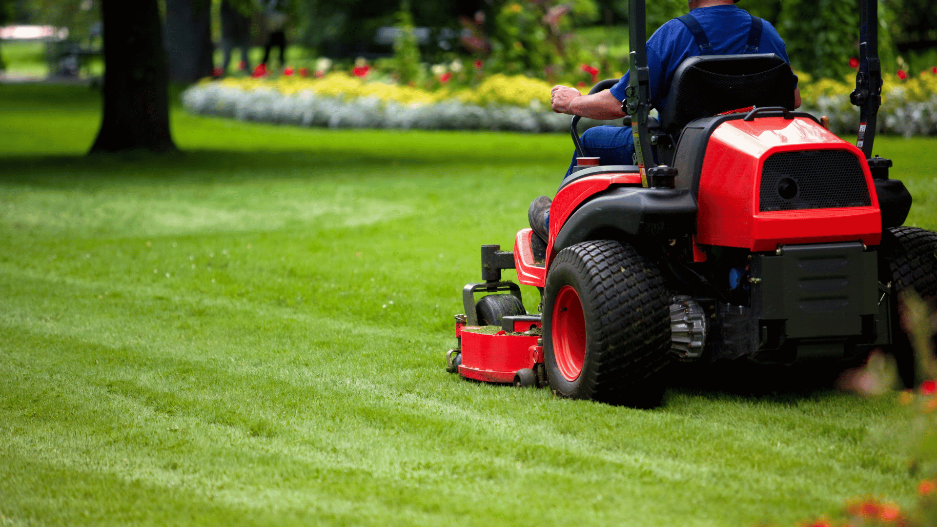 Landscaper driving a red riding mower across a manicured lawn with flower beds and trees