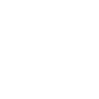 White lawn mower icon logo with the text Auto Mow Co.