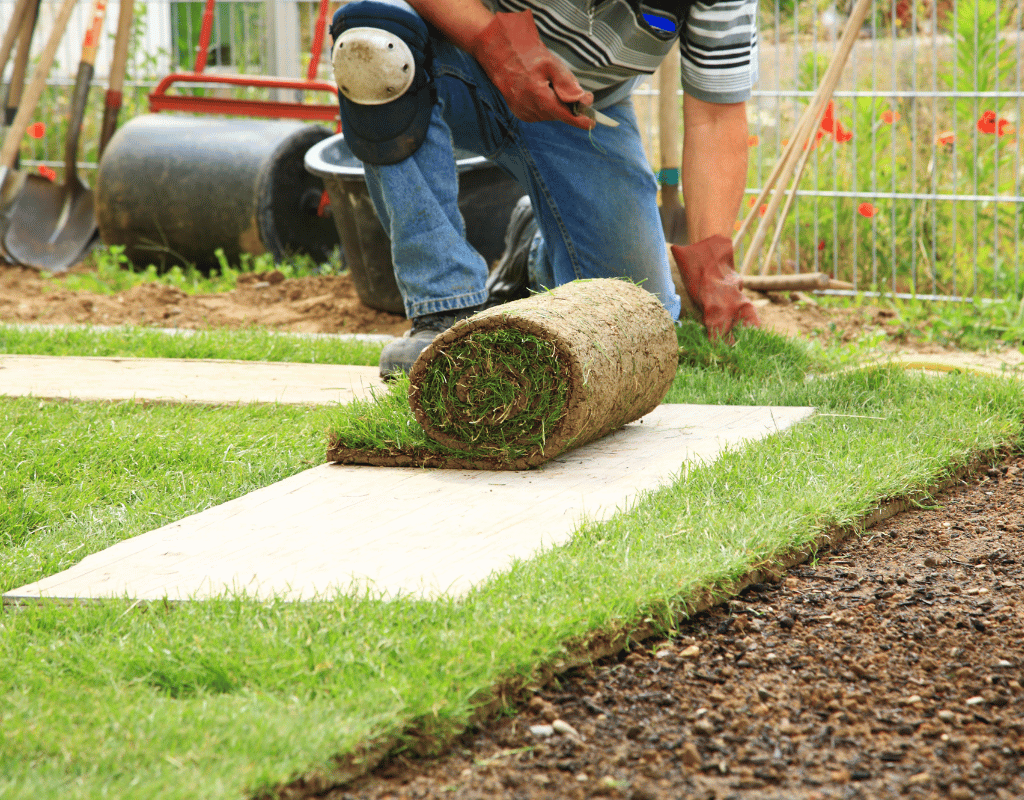 Landscaper kneeling to lay a roll of sod along a paved garden path