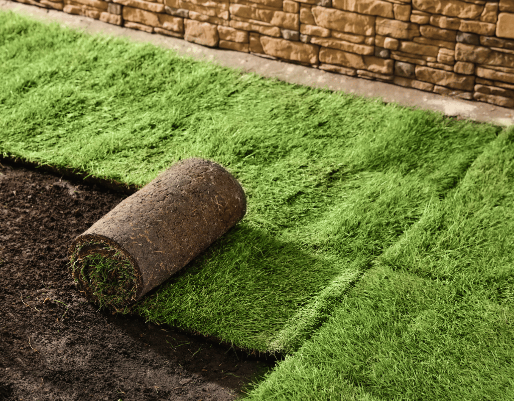 Rolls of fresh green sod being laid next to a stone retaining wall