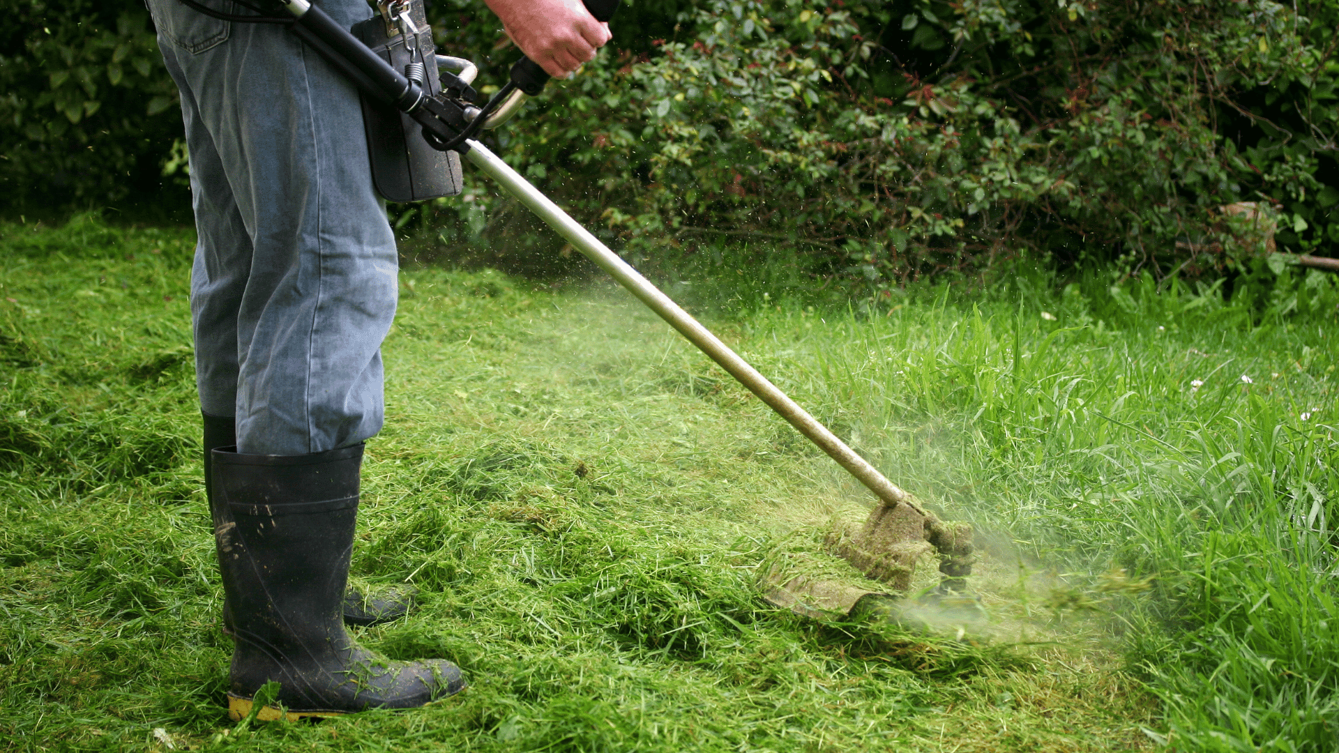 Landscaper using a string trimmer to cut overgrown grass and weeds along a fence
