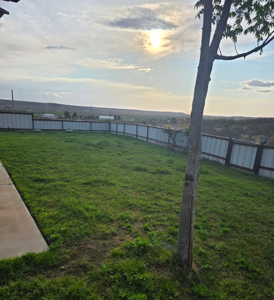 Fenced backyard with a thin, patchy, weed-filled lawn before landscaping treatment