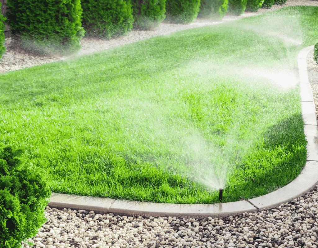 Sprinkler heads spraying water across a green lawn bordered by evergreen shrubs and gravel